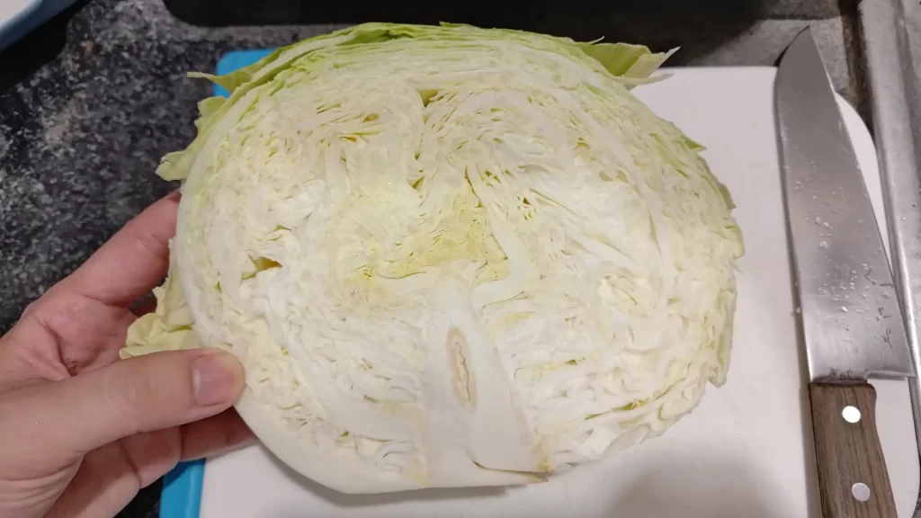 半分に切った春キャベツ