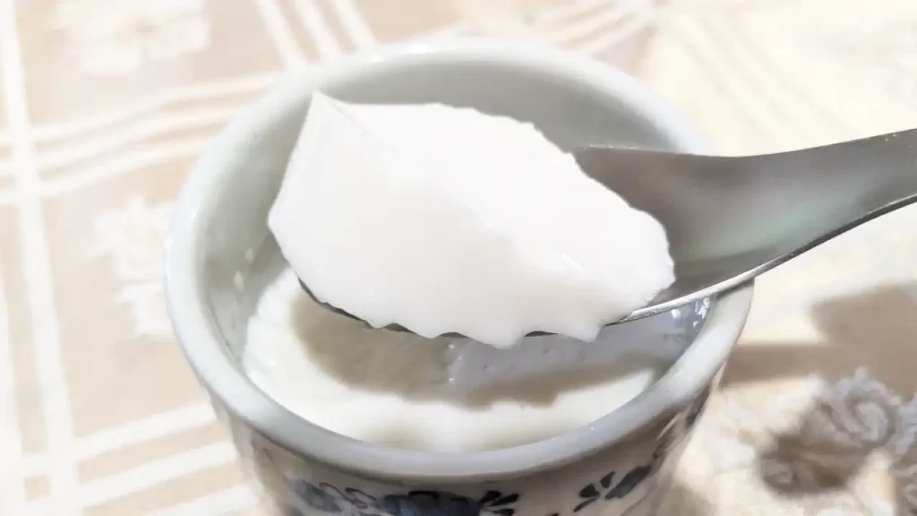 手作りの杏仁豆腐みたいなアーモンドミルクプリン