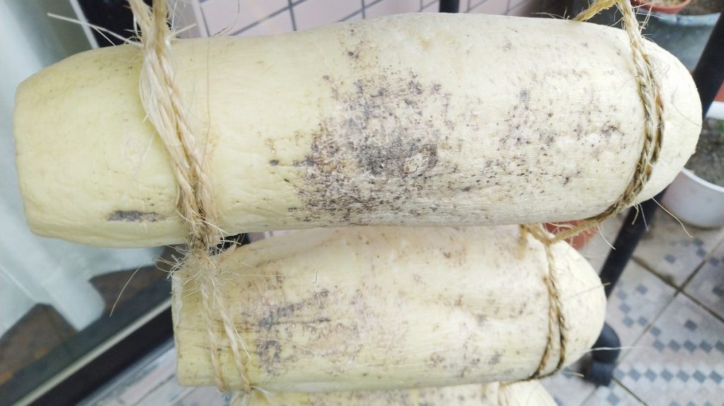黒点の発生した大根
