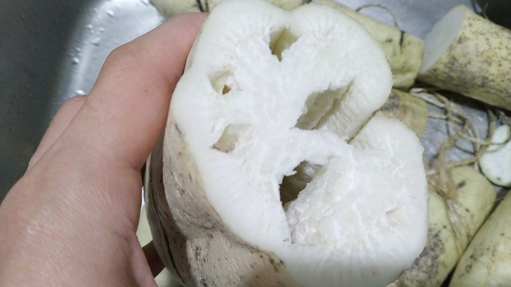 スカスカの大根