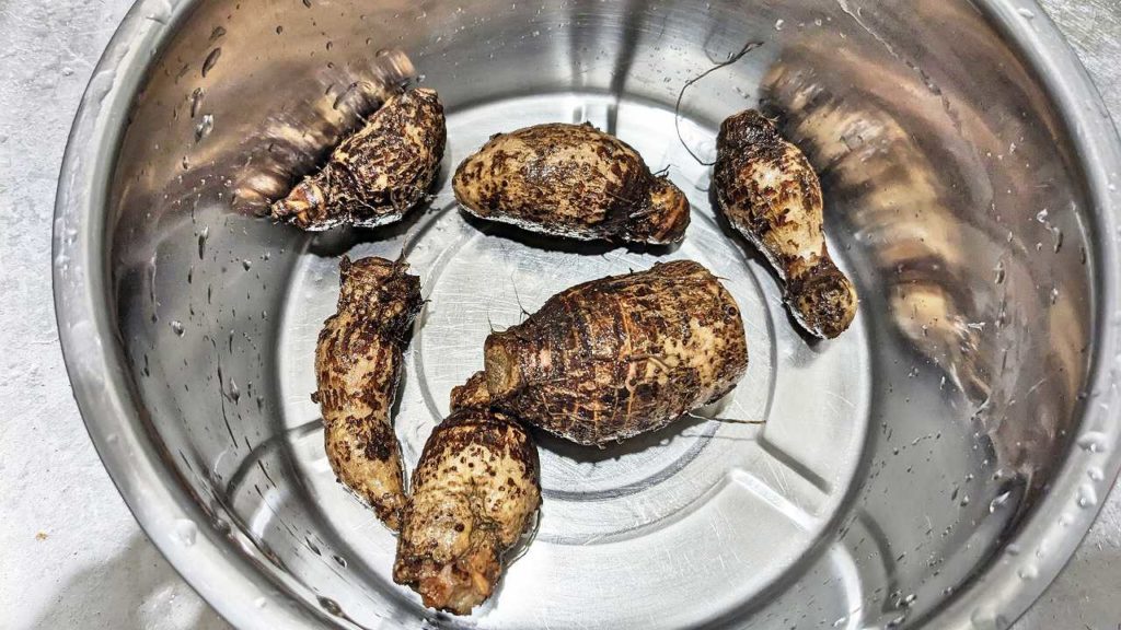 台湾のタロイモの子芋