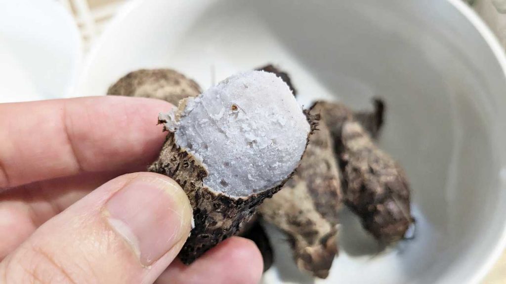 台湾タロイモのキヌカツギ風