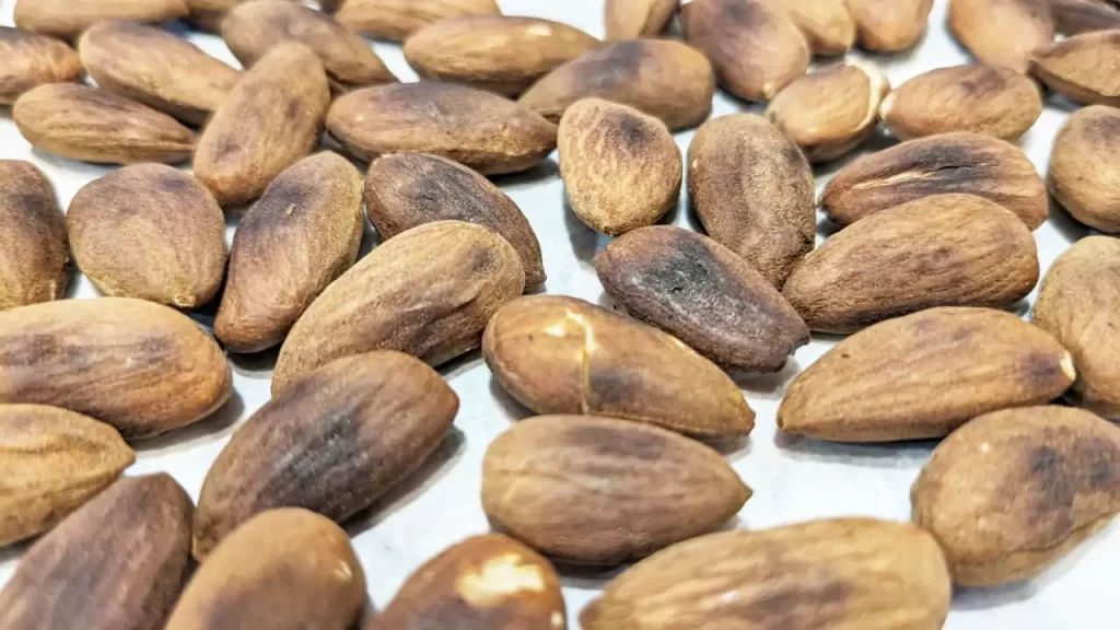 計30分煎った後のアーモンド