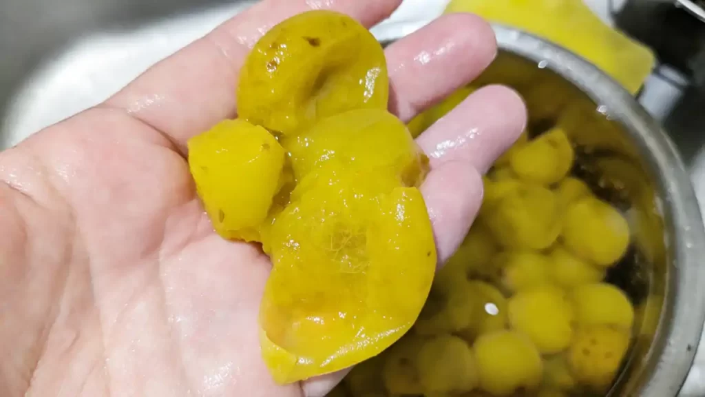 煮こぼした後、梅の種を取り出す様子