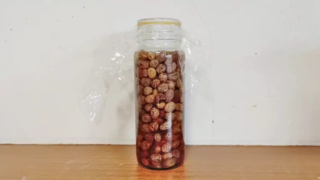 仕込んでから6日目のレーズン酵母