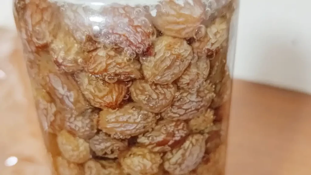 上部が白い膜に覆われていたレーズン酵母の液中の様子