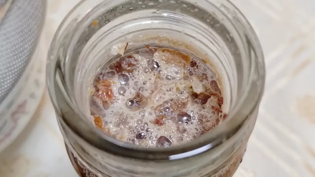 9日目、もう膜が張ることはなくなったレーズン酵母