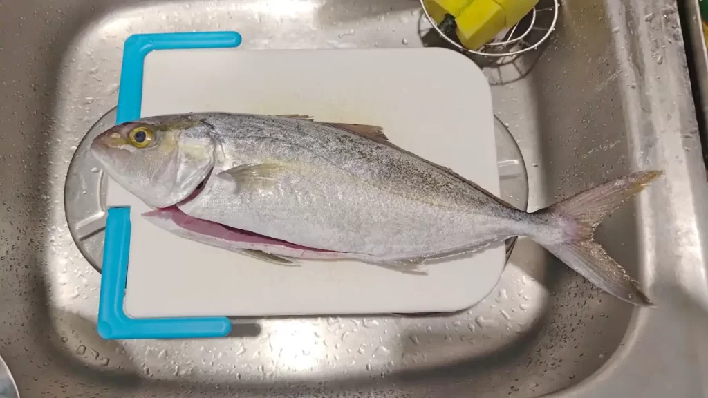 台湾の市場で購入したカンパチ