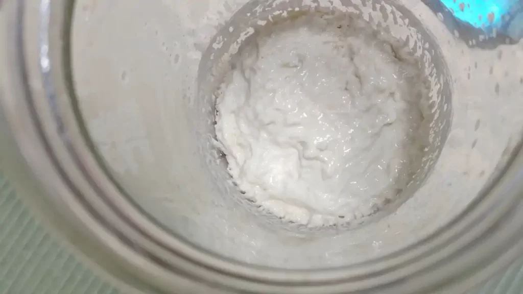 リンゴ酵母液と強力粉を混ぜてピザ生地の元種を作っているところ（3日目）