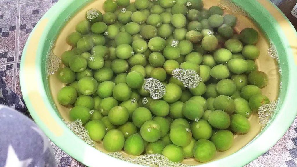 塩水に浸けている梅