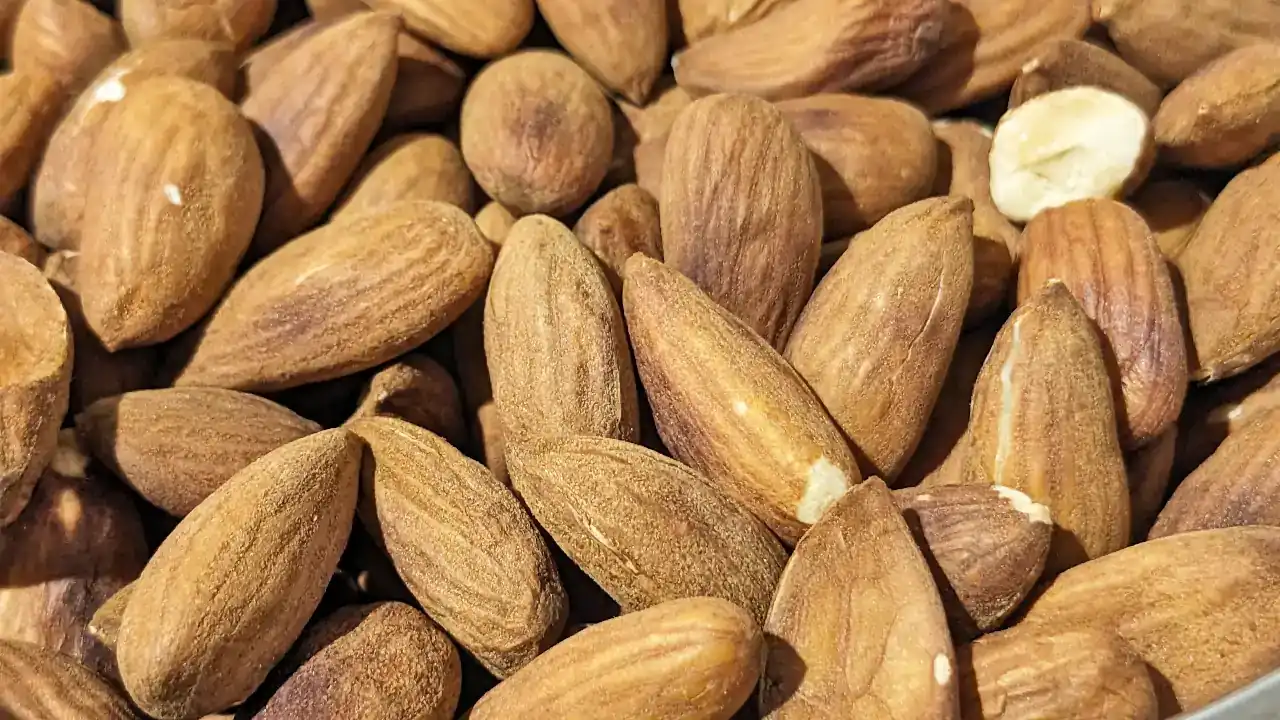 自家焙煎アーモンド