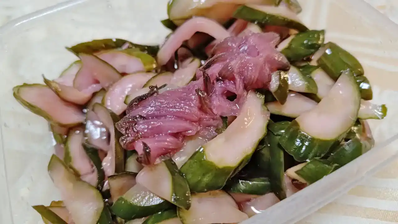 ローゼルと梅酢で作った柴漬け