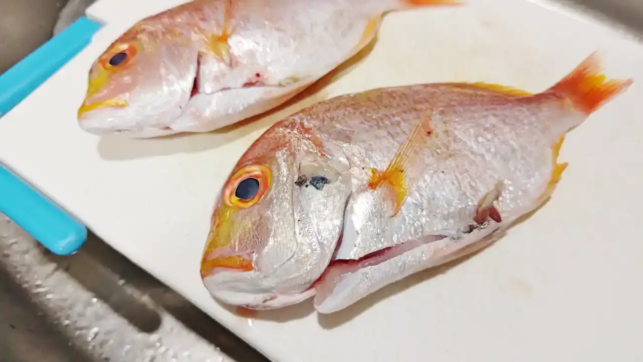 台湾の市場で買ったキダイ（レンコダイ）